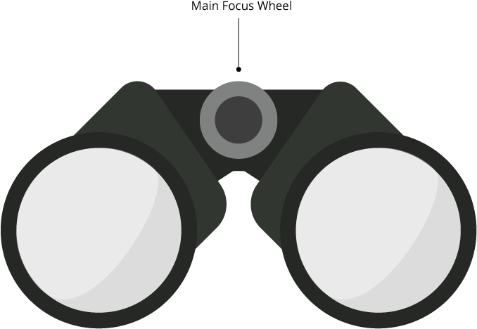 Binocular Clipart Binocular Eye - Safari Binoculars Clipart (696x487)