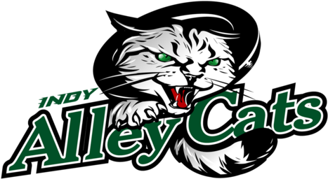 A Cat Outfit Is Kind Of Cliche For Halloween, So It - Alley Cats Softball Logo (500x289)