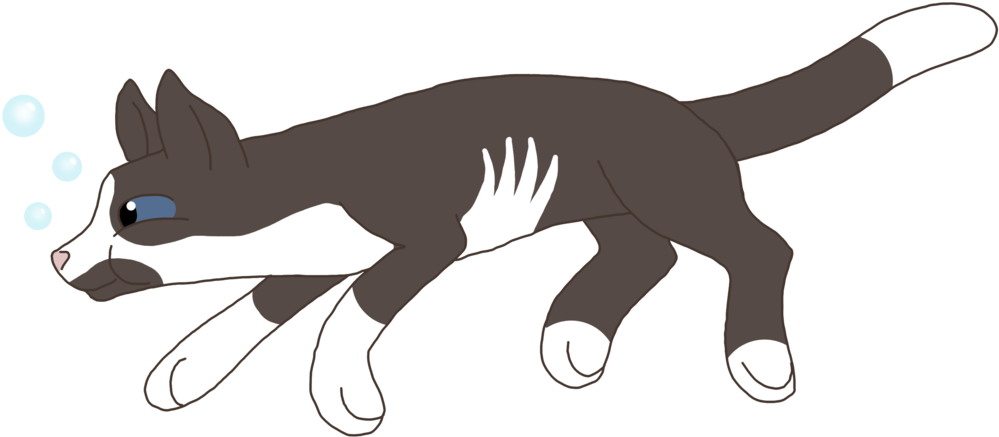 What You'd Like Added- He's A Cat, I'd Love The Pawprint - Cat Jumps (1024x471)