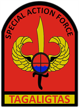 Special Action Force (352x352)
