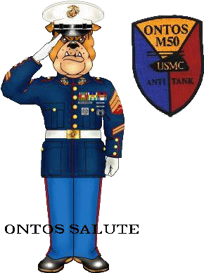 Pictures By Dave Shatzer - Non-commissioned Officer (303x400)