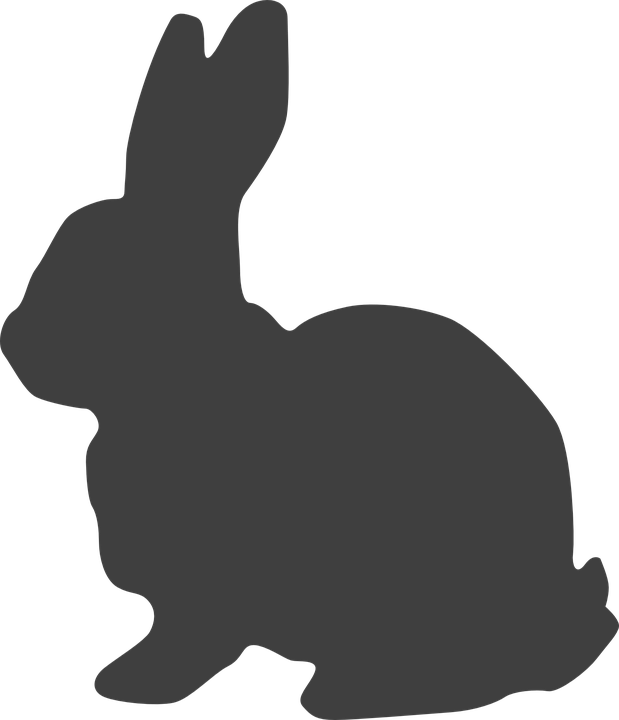 Easter Bunny Silhouette Clip Art - Black And White Bunny Clipart (619x720)