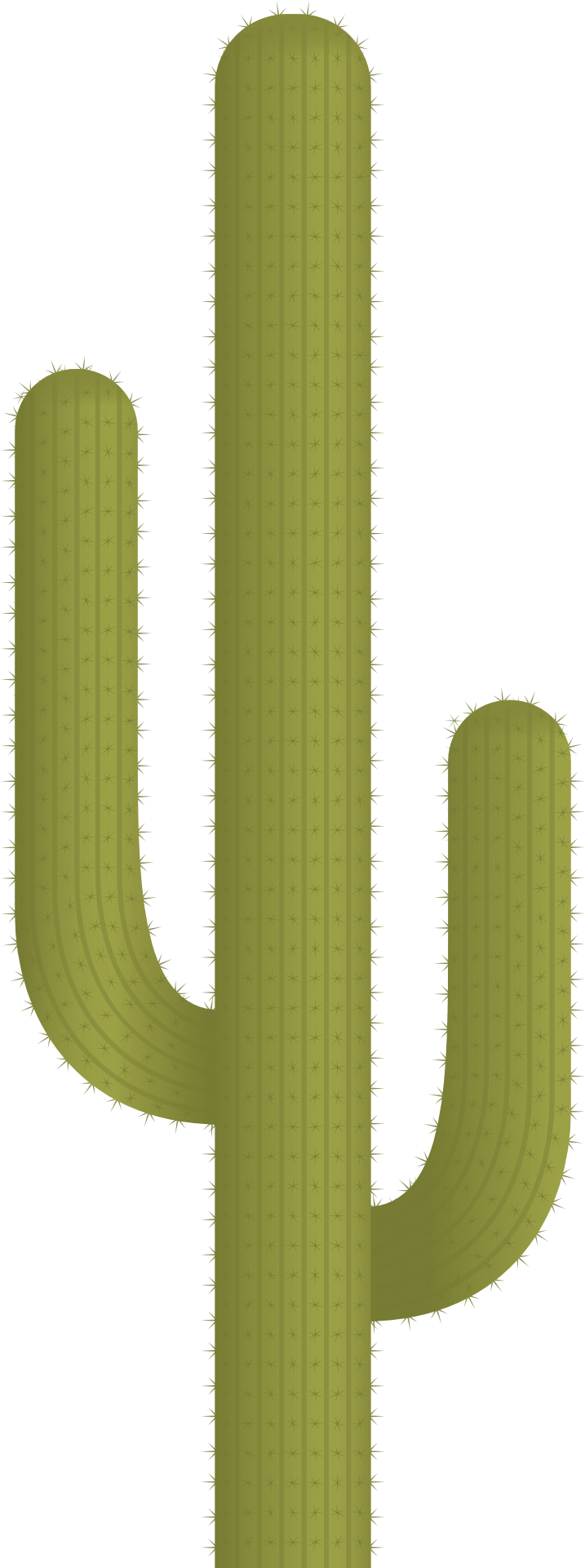 Cactus Plant Vector Png Image - Transparent Background Png Cactus (945x1920)