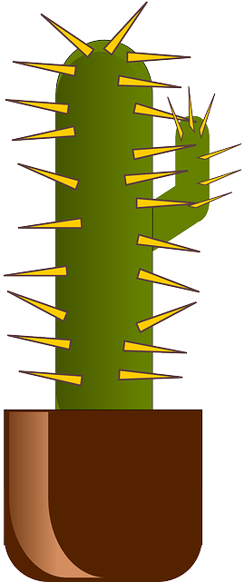 Cactus, Cartoon, Plant, Desert, Spikes, Potted, Pot - Der Freche Schwein: The Naughty Pig [book] (320x640)