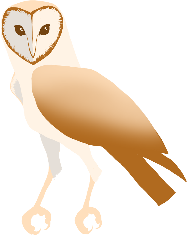 Barn Owl By Puffbird - Screech Owl (720x900)
