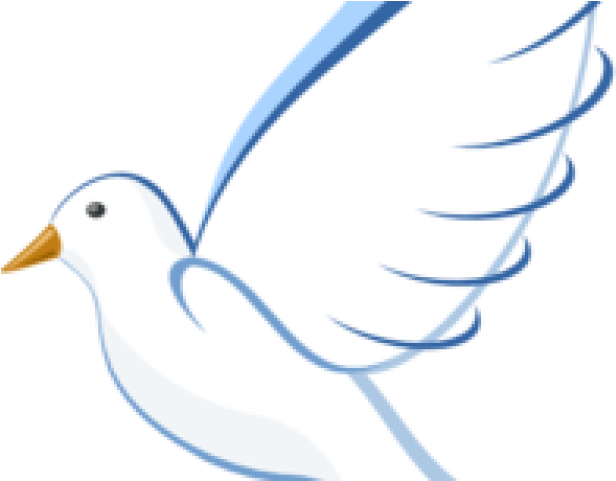 White Dove Cliparts - Dove Clip Art (640x480)