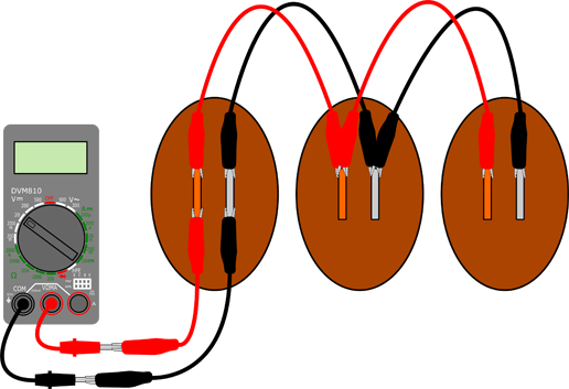 3 Potato Batteries In Parallel Veggie Power 3 In Parallel - Electric Current With A Fruit Or Vegetable Diagram (516x353)