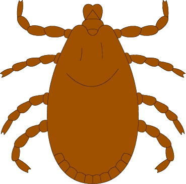 Bugs Clipart Tick Free Clipart On Dumielauxepices Net - Clipart Of A Tick (369x364)