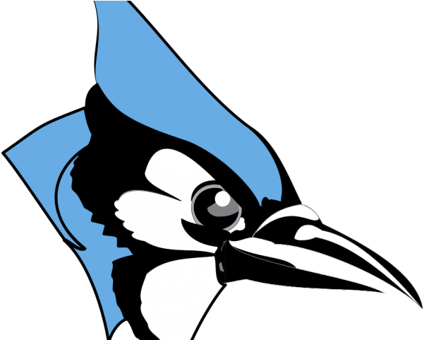 Blue Jay Clipart Johns Hopkins - Johns Hopkins Blue Jays (640x480)