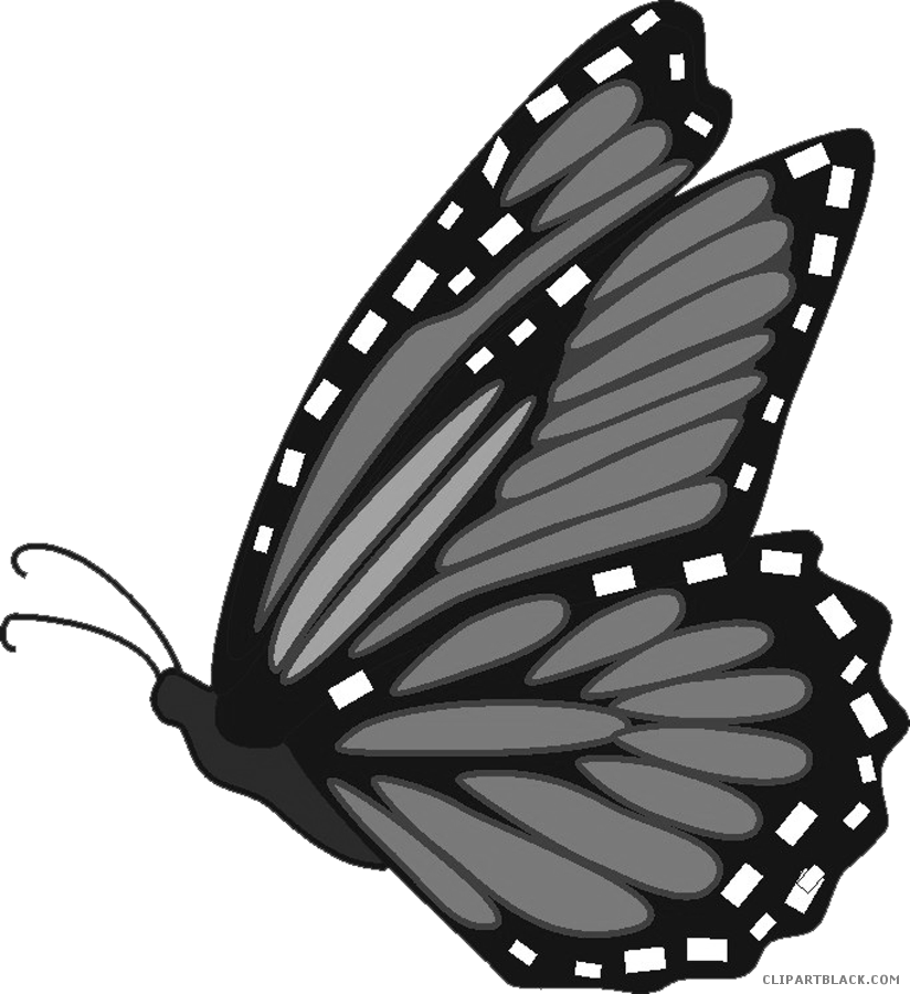 Monarch Butterfly Clipart Clipartblack Com Rh Clipartblack - Butterfly Monarch Clip Art (824x900)