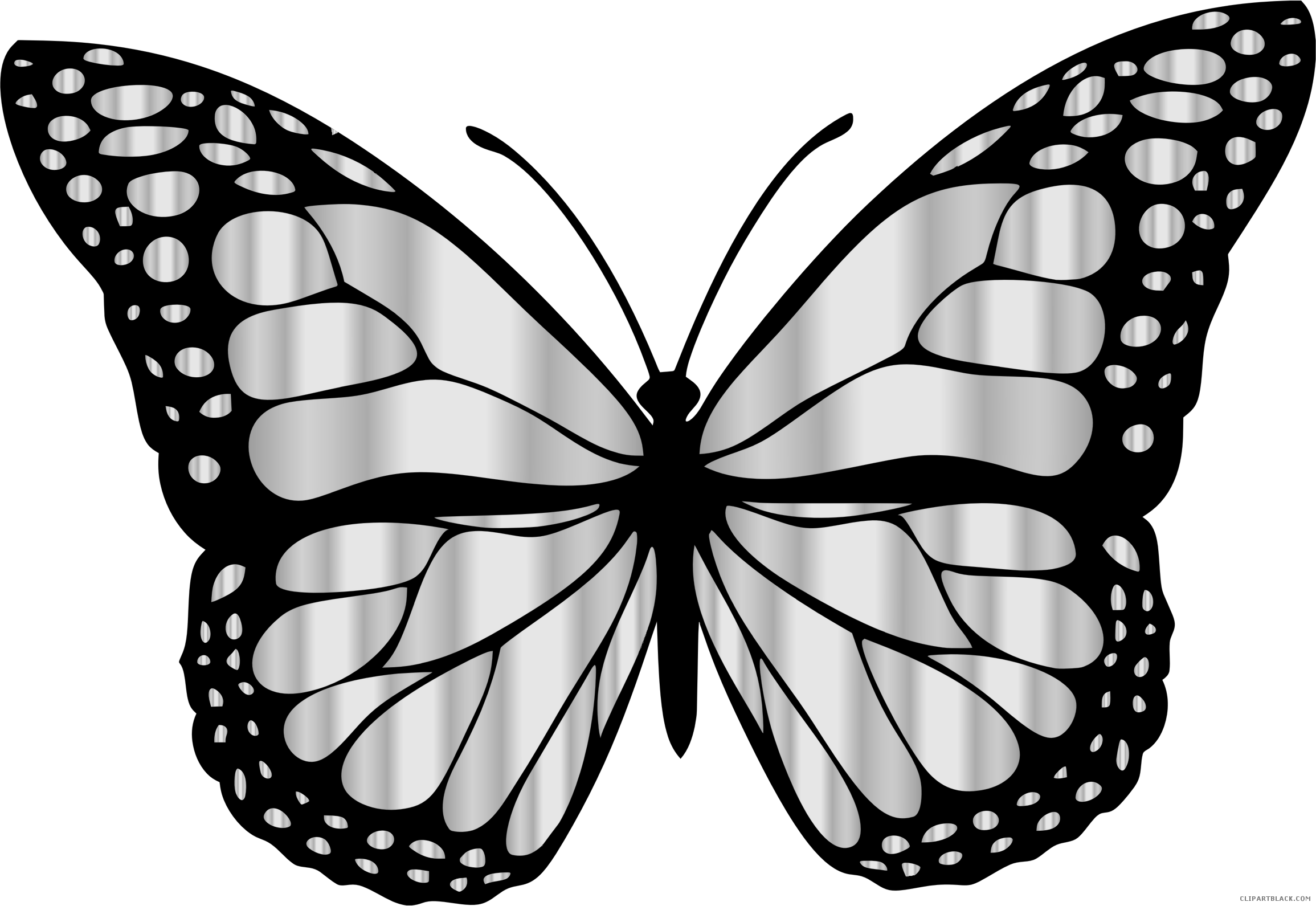 Monarch Butterfly Animal Free Black White Clipart Images - Butterfly Clipart Black And White (2310x1590)