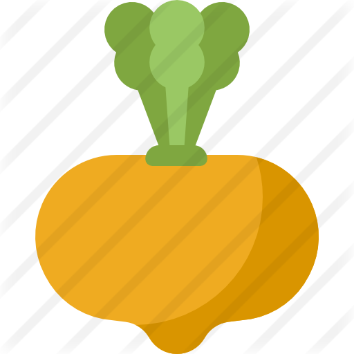 Turnip - Illustration (512x512)