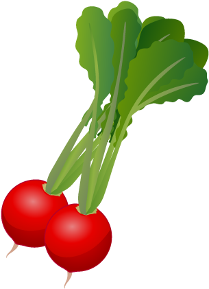 For Download Free Image - Beet Greens (480x480)