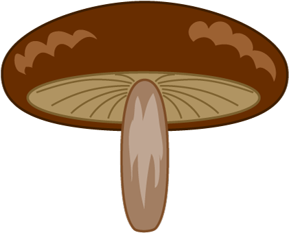 For Download Free Image - Shiitake (480x480)