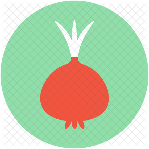 Turnip Icon - Radish (512x512)