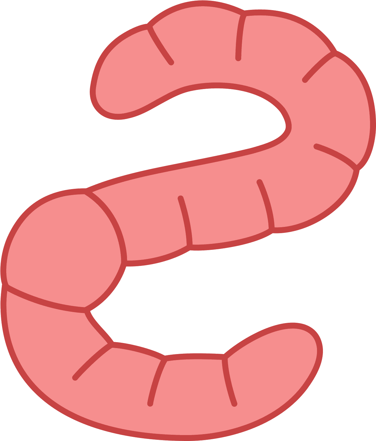 Earth Worm Icon - Vector Worm Png (1600x1600)