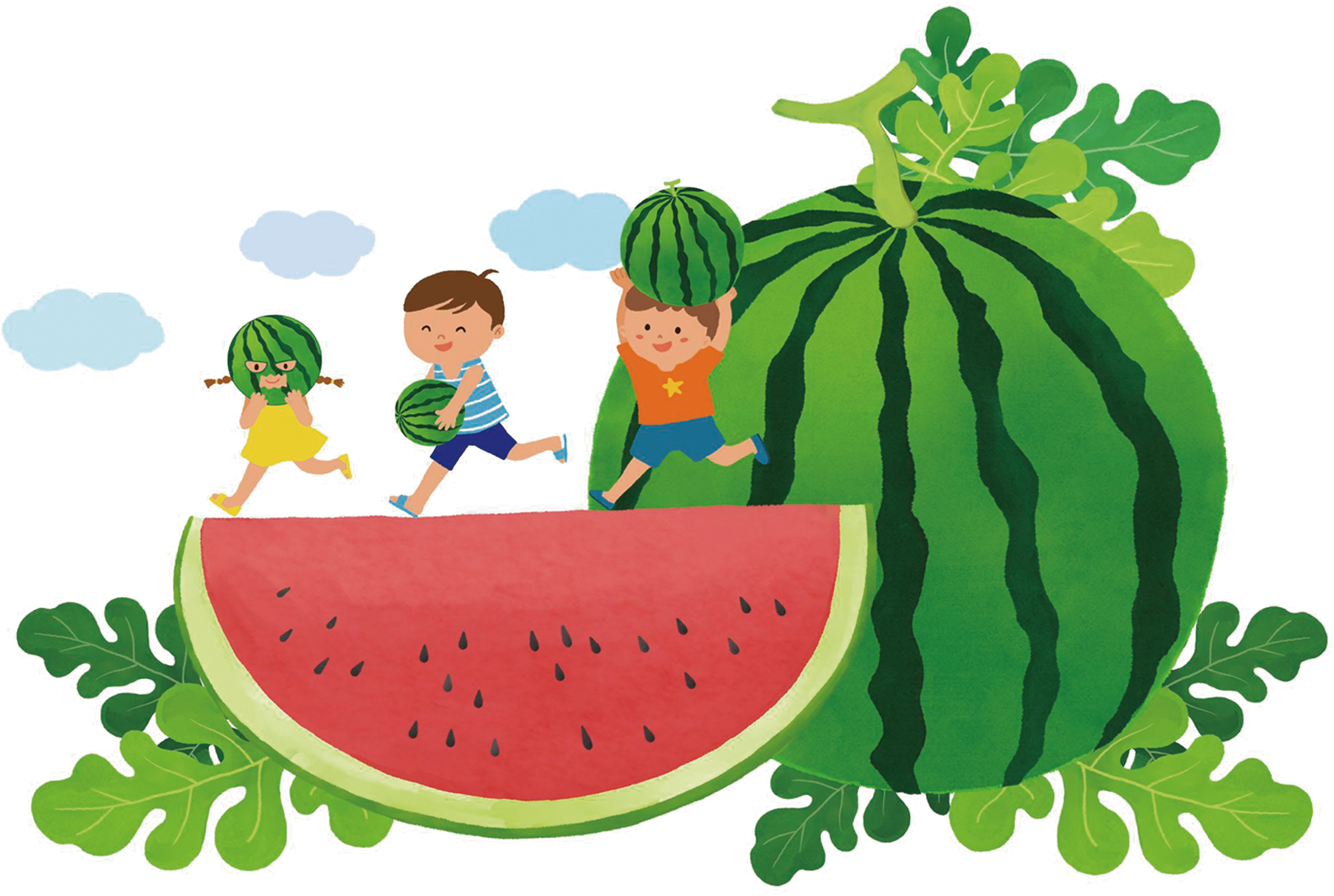 Watermelon Summer Illustration - Watermelon (4511x3000)
