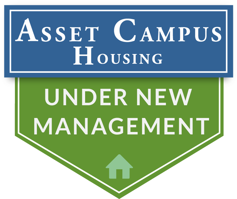 Renting A Car In Iceland Car Rental Reviews Tips More - Asset Campus Housing (1200x1200)