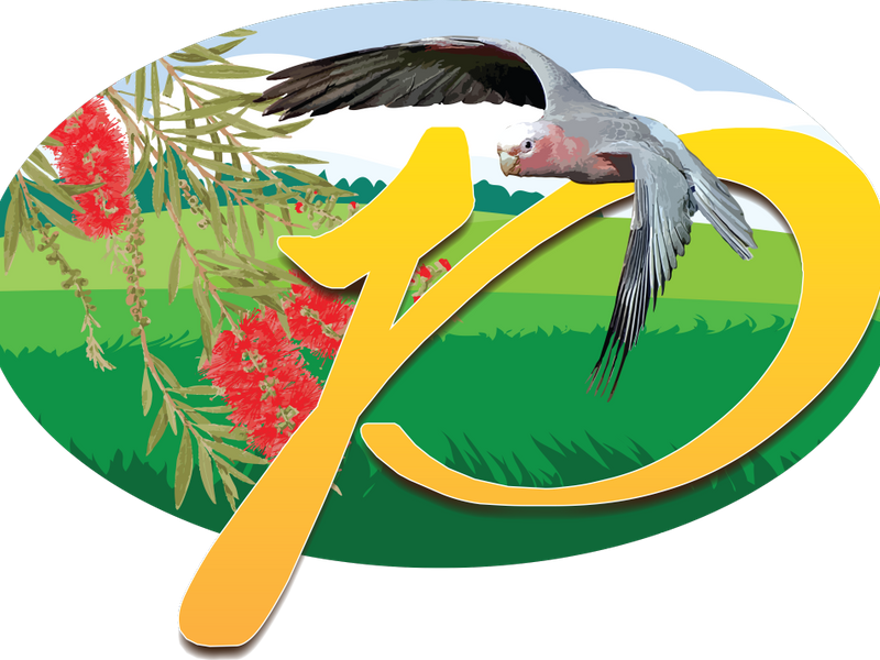 Still Renting Buy Now With No Deposit - Branyan (800x600)