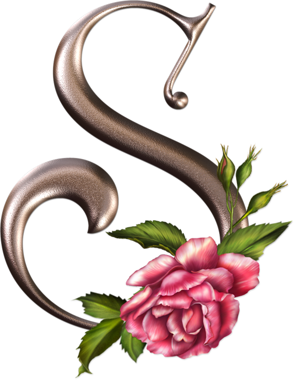 Яндекс - Фотки - La Letra S Con Flores (572x739)