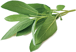 #mangiaredifferente - Soothing Touch Ayurveda Body Lotion (401x401)