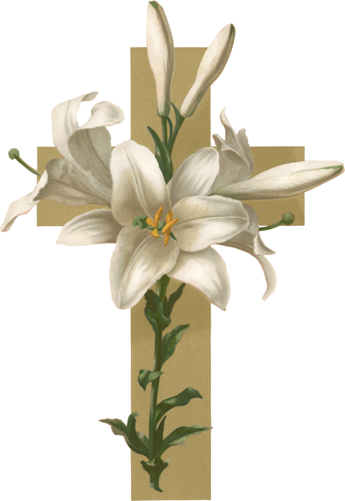 手绘百合 - Sorry To Hear Of Your Mom's Passing (707x1024)