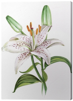 Dolce Home Beyaz Renkli Çiçek Dekoratif Tablo Adgt68 (400x400)