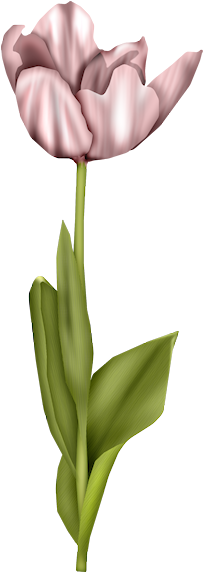 Publicado Por María José En - Fondos De Flores (234x607)