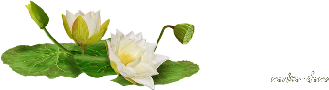 Par Cerise-déco Dans Design Fleur Le 16 Février 2014 - Lilia Wodna Png (700x300)