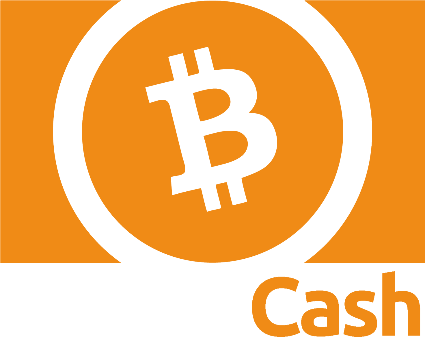 Bitcoin Cash - Bitcoin Cash (1505x1259)