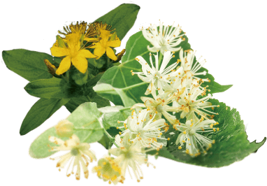 113種の国産植物発酵液イメージ - Mattisson Living Lemonade Blossom Biologisch, 500 Ml (945x463)