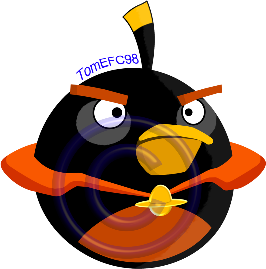 Angry Birds Black Bird Space [super High Quality] By - Angry Birds Space Black (894x894)