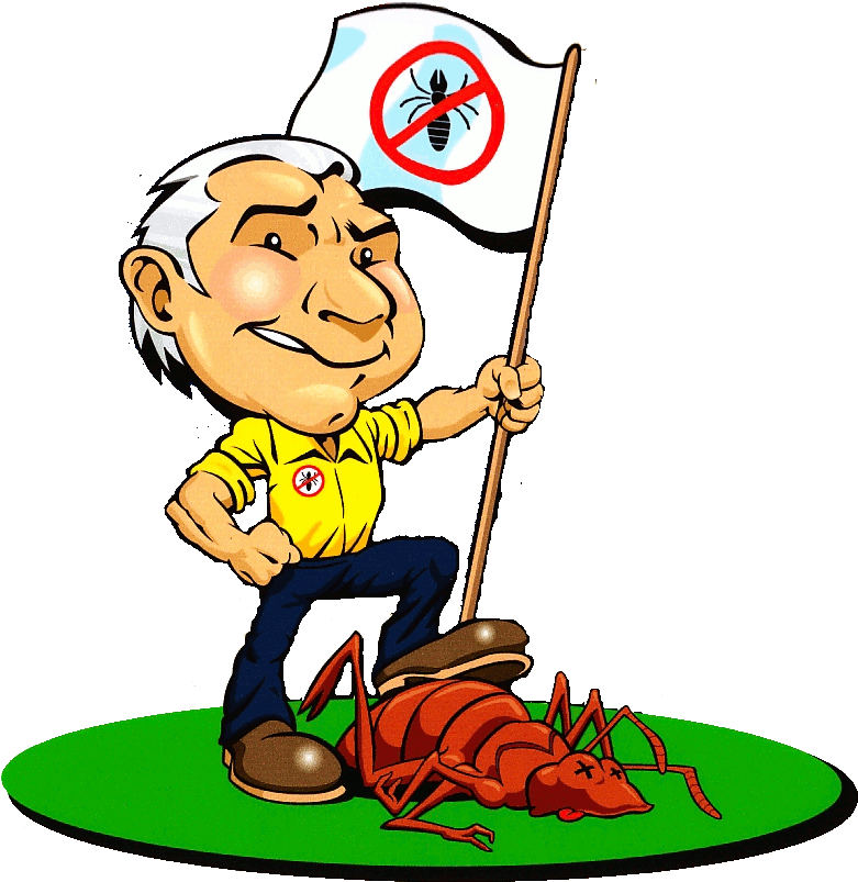 Cockroach Removal - Pest Control (796x803)