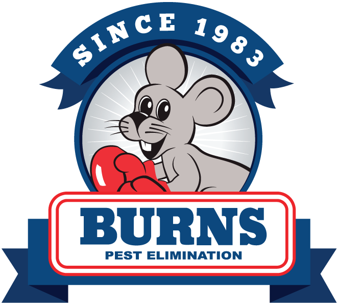 Burns Pest Control Morenci Az - Burns Pest Elimination Phoenix Az (662x593)