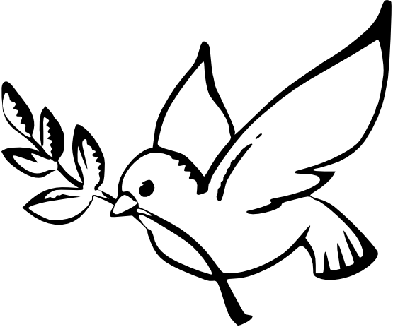 Dove Clipart Flower - Dove Drawing (555x463)