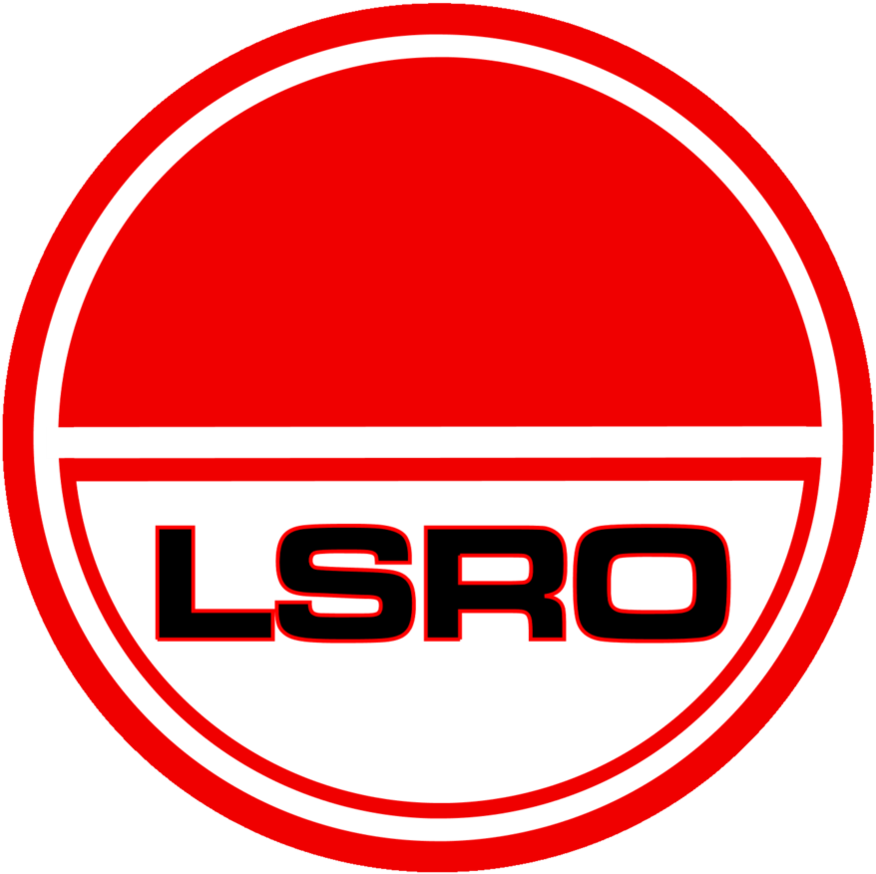 100 - Lsro (898x890)