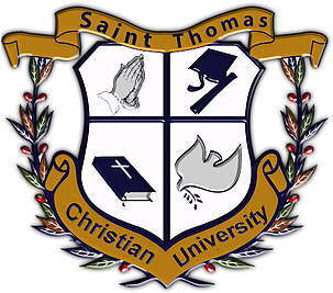 Next Step For You Video - Logo (306x396)