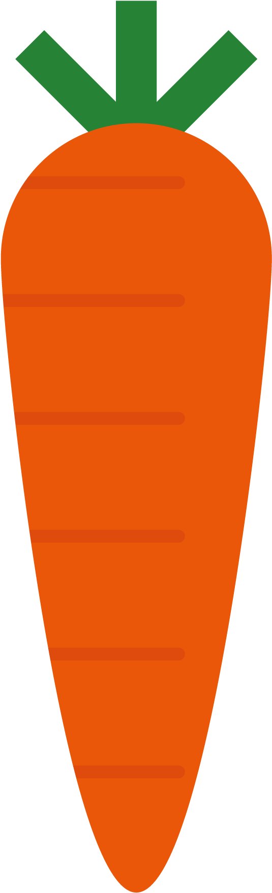 Carrot Cartoon Radish - Carrot Cartoon Radish (1001x2068)