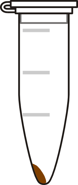 Closed Eppendorf Tube With Pellet Clip Art At Clker - Eppendorf Tube And Pellet (252x596)