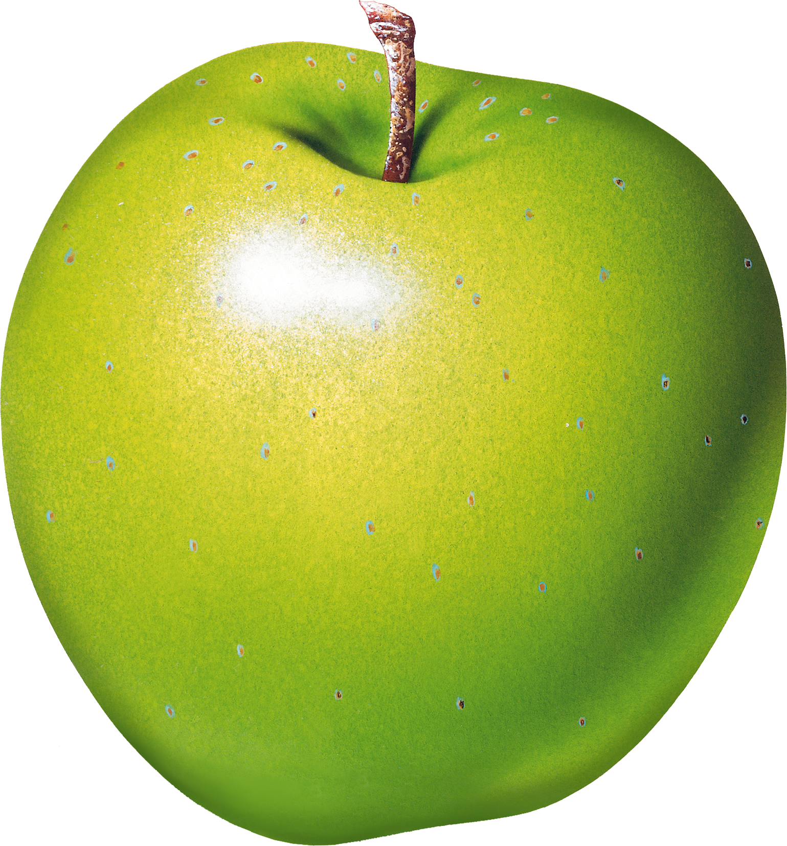 Poster Appel - Green Apple Transparent Background (1539x1655)