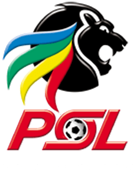 Domestic Competitions - South African Premier Division (600x400)