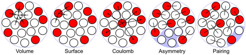 Illustration Of The Terms Of The Semi-empirical Mass - Liquid Drop Model Of Nucleus (827x187)