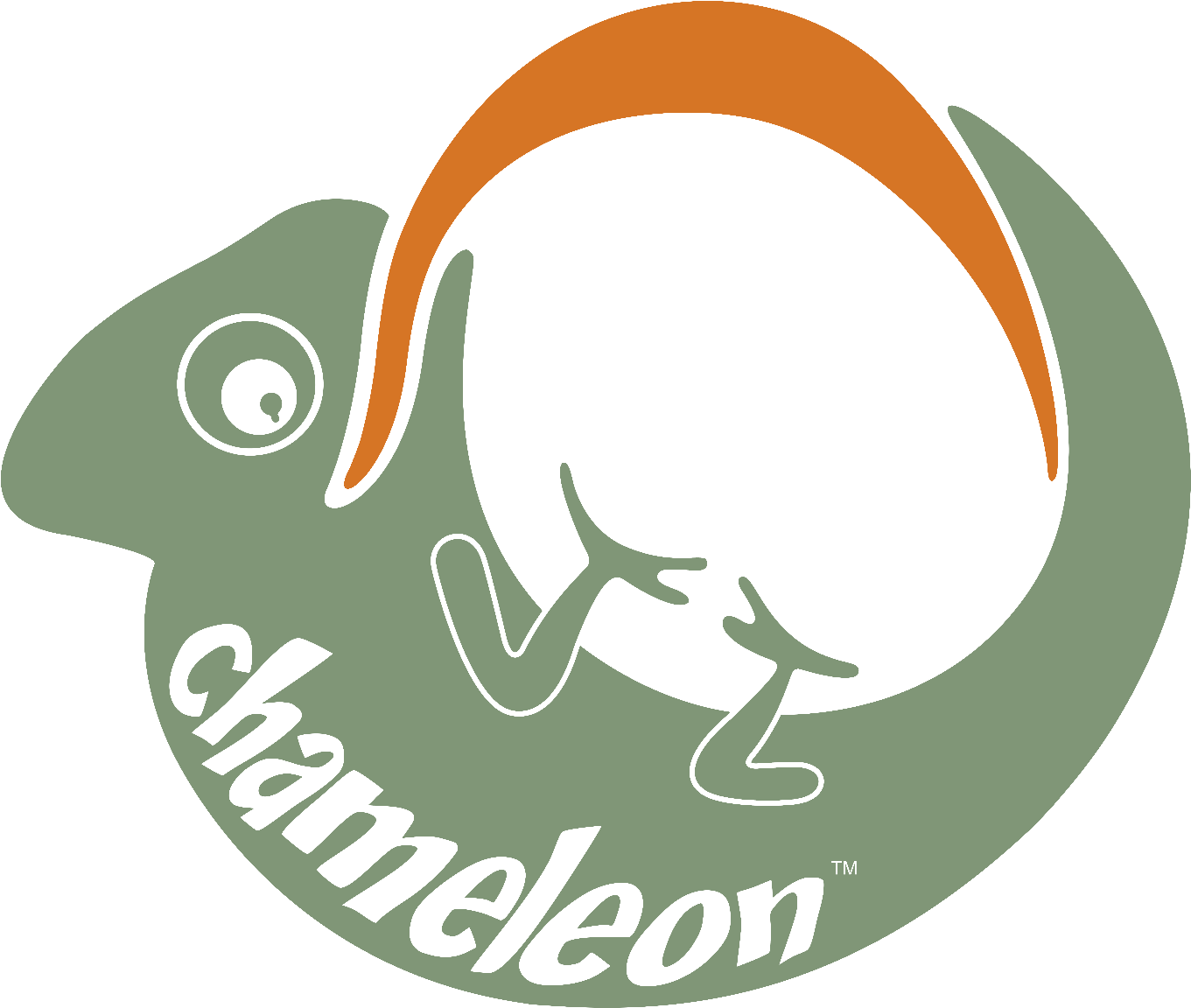 Chameleon Hammock Complete-0 - Hammock (1530x1200)