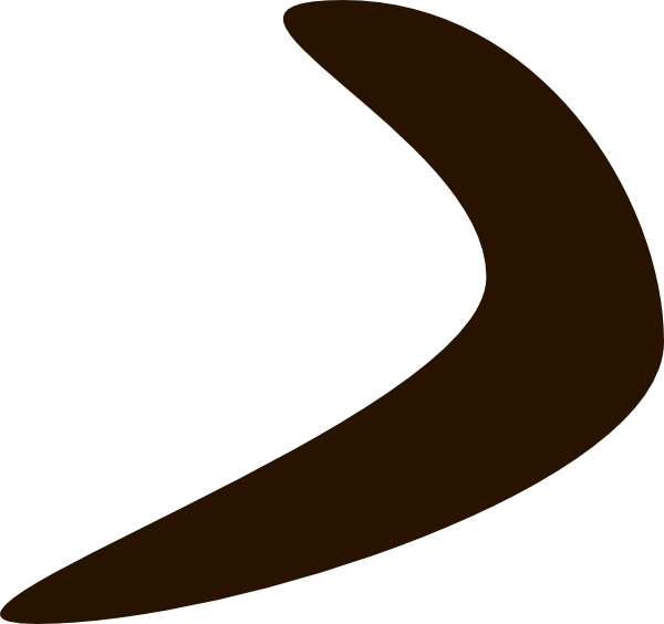 Boomerang With Transparent Background (600x564)