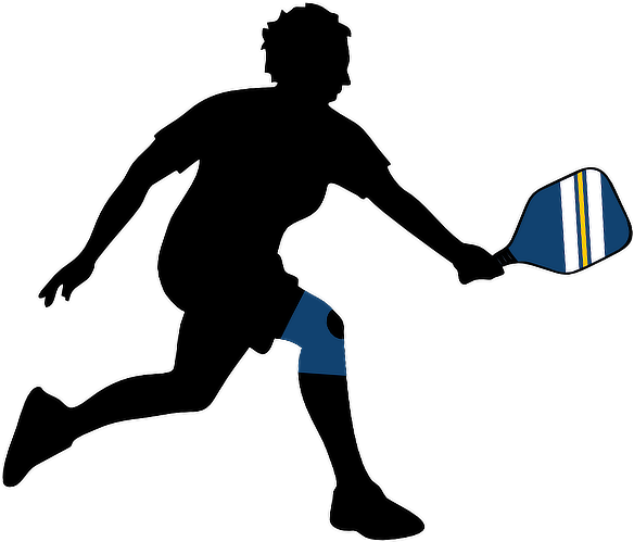 Pickle For A Purpose 2018 Tickets, Sat, Jun 2, - Stencil Basketball (600x530)