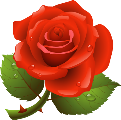Rose Clipart U0026middot Wrinkle Clipart - Clip Art Of Rose (400x396)