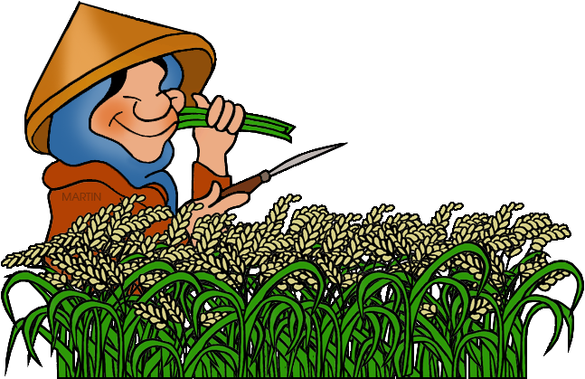 Rice - Farming Clip Art (648x448)
