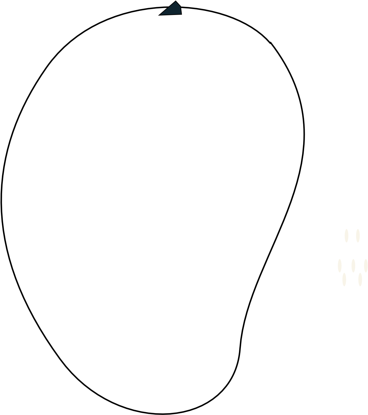 Food Mango Fruit Mango Fruit Black White Line Art 999px - Illustration (1979x1484)