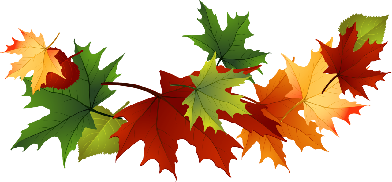 Fall Leaves Clip Art Free Fall Transparent Leaves - Transparent Background Autumn Leaves Clipart (1328x672)