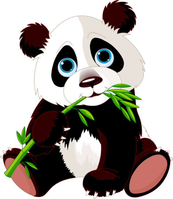 Panda - Panda Eating Bamboo Cartoon (600x690)